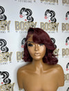 99j Transparent Closure Bob